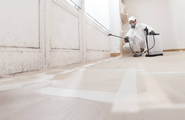 24/7 Emergency Attic Mold Remediation experts in Springfield, OR